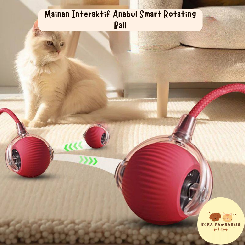 Electric Cat Rolling Ball Toys