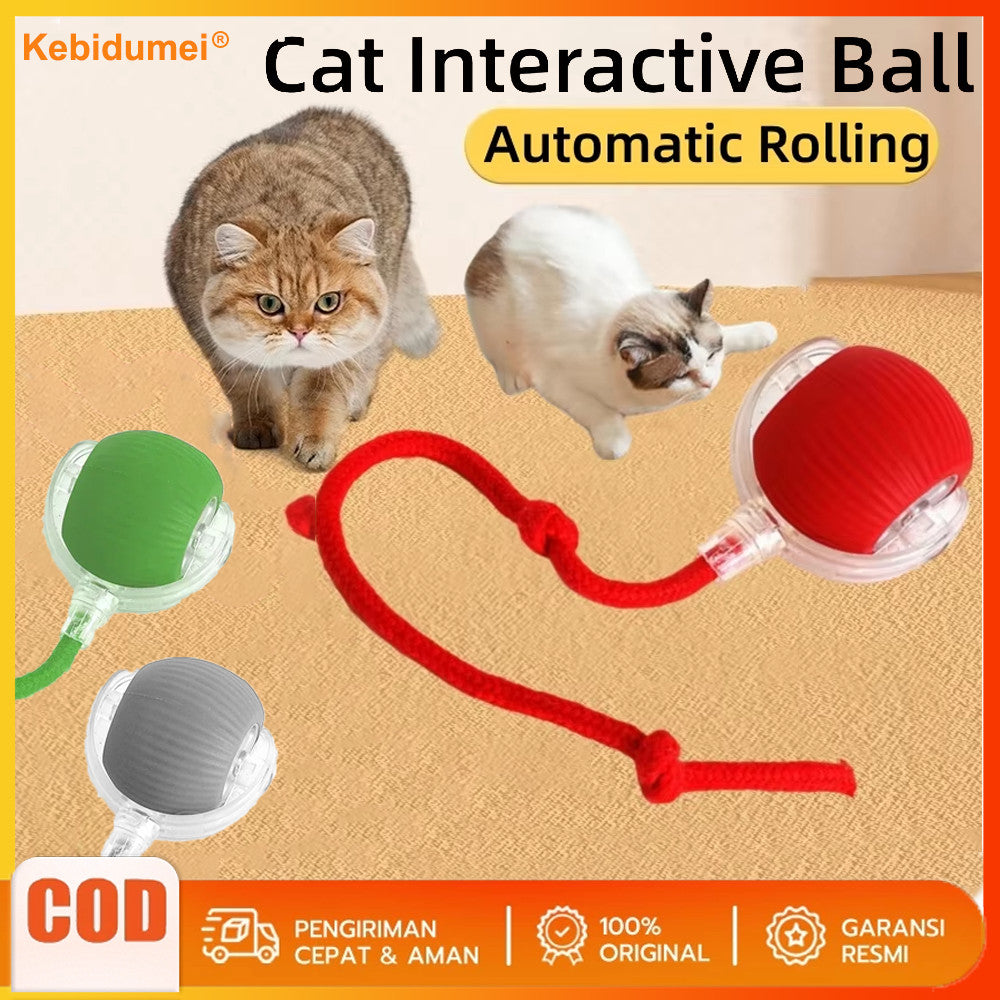 Electric Cat Rolling Ball Toys